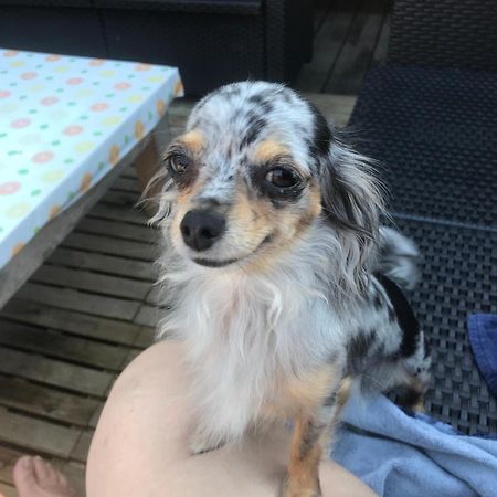 Chalet Esprit Morillon Zewnętrze zdjęcie