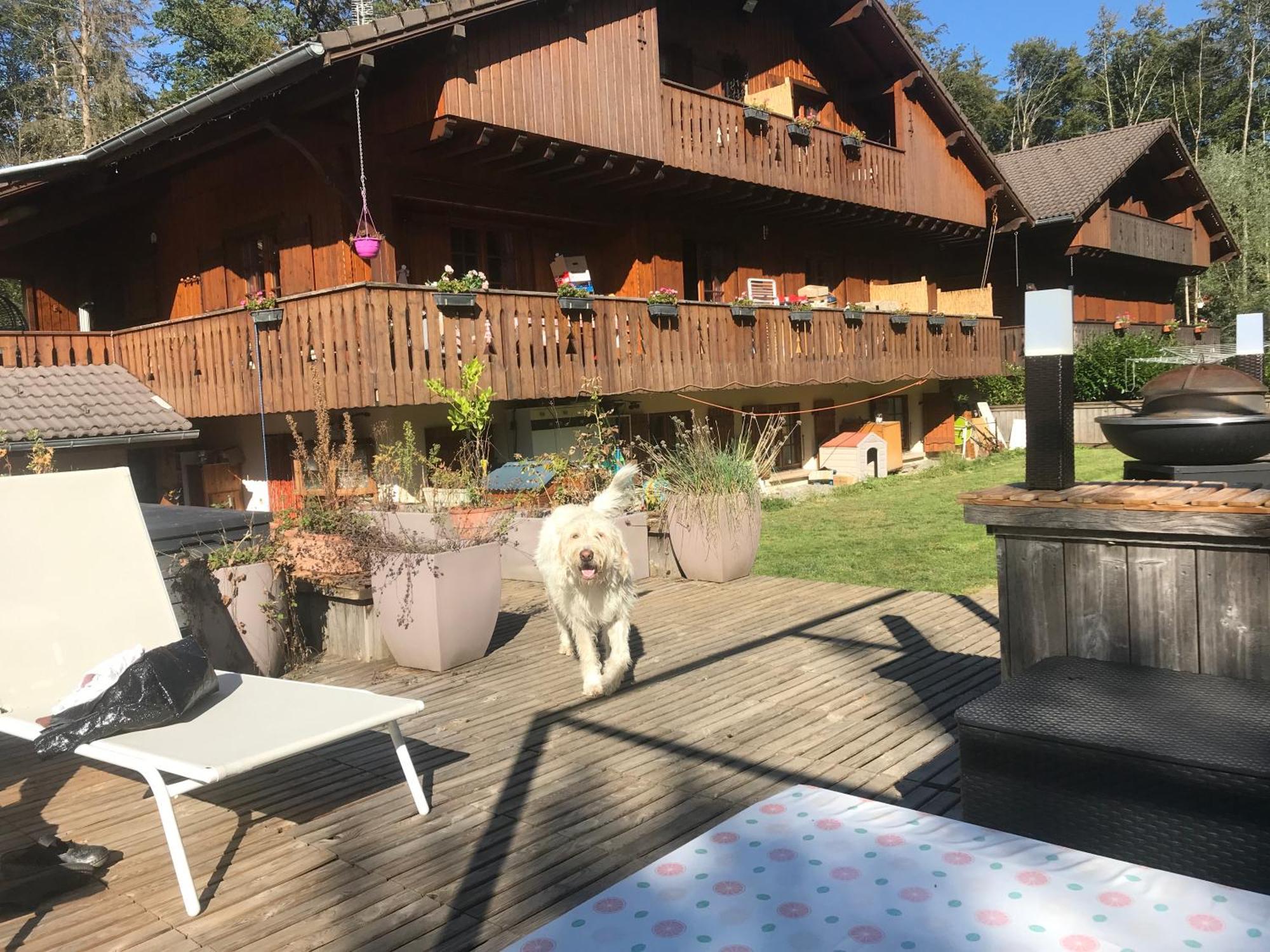 Chalet Esprit Morillon Zewnętrze zdjęcie