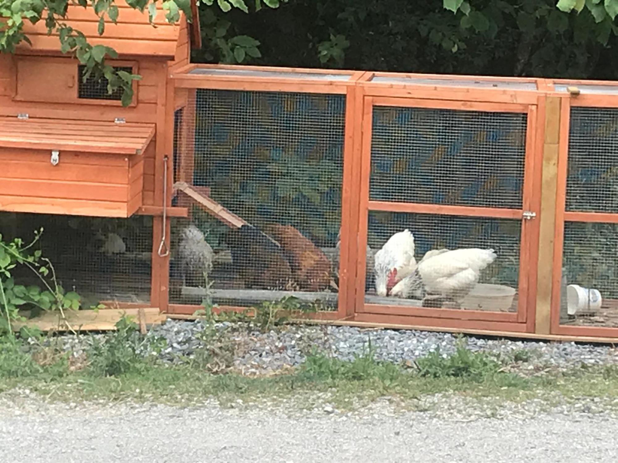 Chalet Esprit Morillon Zewnętrze zdjęcie